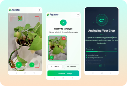 AI Automation  & Analytics